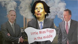 Little Miss Piggy in the middle