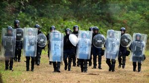 afp on Chritmas Island today