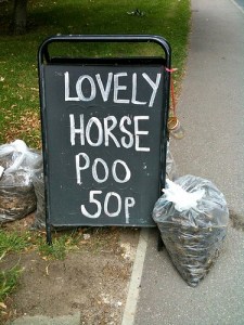horse poo