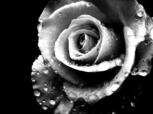 Dark_And_Light_TWO_by_Latifa700.deviantart.com