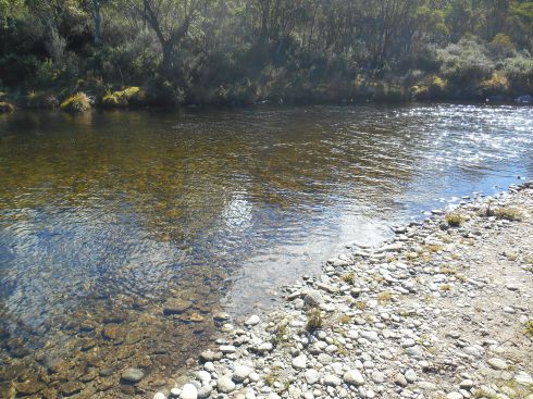 Thredbo River, sorry